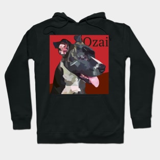 Ozai Hoodie